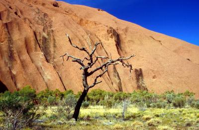 Ayers Rock, NT, Australia, Jacek Piwowarczyk, 1993