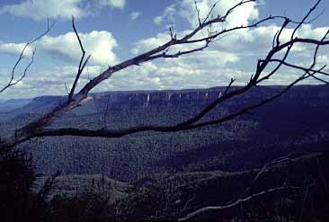 Blue Mountains, NSW, Australia, Jacek Piwowarczyk, 1993