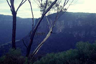 Blue Mountains, NSW, Australia, Jacek Piwowarczyk, 1993