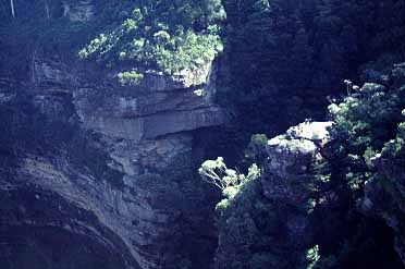 Blue Mountains, NSW, Australia, Jacek Piwowarczyk, 1993