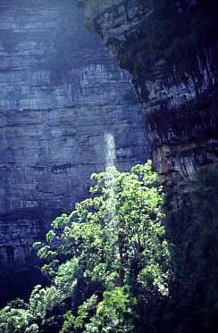 Blue Mountains, NSW, Australia, Jacek Piwowarczyk, 1993