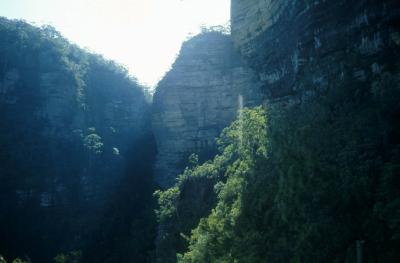 Blue Mountains, NSW, Australia, Jacek Piwowarczyk, 1993