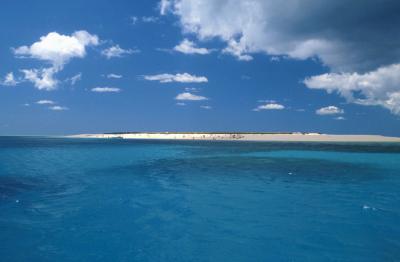 Hasting's Reef, Queesnland, Australia, Jacek Piwowarczyk, 1993