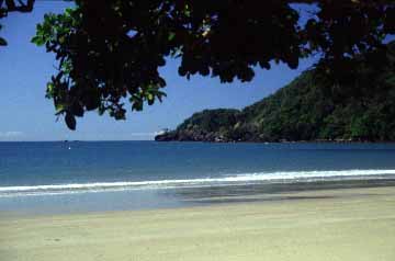 Cape Tribulation trip, Northern Queensland, Austalia, Jacek Piwowarczyk, 1993