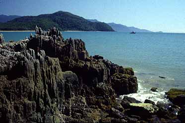 Cape Tribulation trip, Northern Queensland, Austalia, Jacek Piwowarczyk, 1993