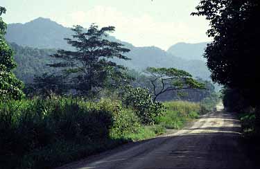 Cape Tribulation trip, Northern Queensland, Austalia, Jacek Piwowarczyk, 1993