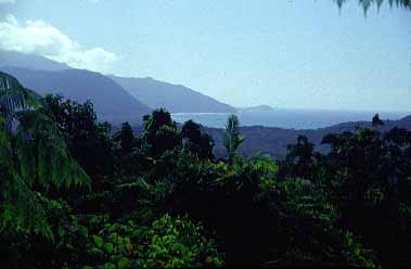 Cape Tribulation trip, Northern Queensland, Austalia, Jacek Piwowarczyk, 1993