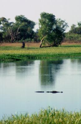 Kakadu Mational Park, Northern Territory, Australia, Jacek Piwowarczyk, 1993