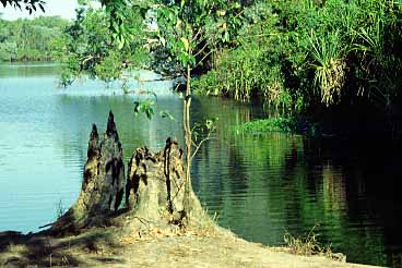 Kakadu Mational Park, Northern Territory, Australia, Jacek Piwowarczyk, 1993