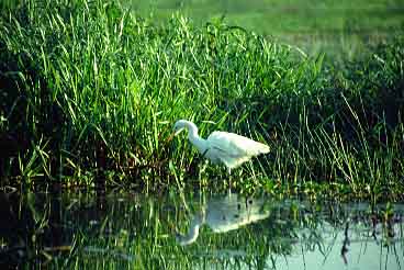 Kakadu Mational Park, Northern Territory, Australia, Jacek Piwowarczyk, 1993