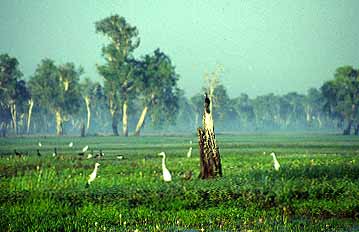 Kakadu Mational Park, Northern Territory, Australia, Jacek Piwowarczyk, 1993