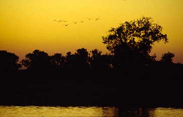 Kakadu Mational Park, Northern Territory, Australia, Jacek Piwowarczyk, 1993