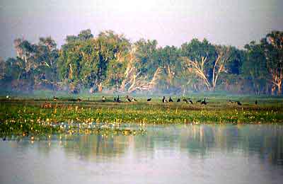 Kakadu Mational Park, Northern Territory, Australia, Jacek Piwowarczyk, 1993