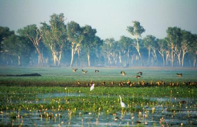 Kakadu Mational Park, Northern Territory, Australia, Jacek Piwowarczyk, 1993