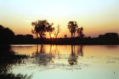 Kakadu Mational Park, Northern Territory, Australia, Jacek Piwowarczyk, 1993