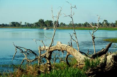 Kakadu Mational Park, Northern Territory, Australia, Jacek Piwowarczyk, 1993