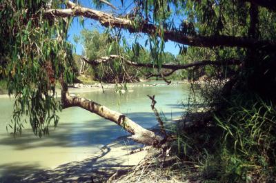 Kakadu Mational Park, Northern Territory, Australia, Jacek Piwowarczyk, 1993