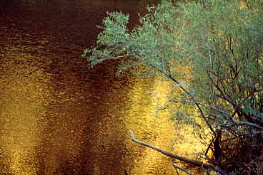 King's Canyon,  NT, Australia, Jacek Piwowarczyk, 1993