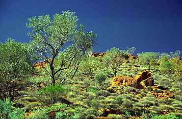 King's Canyon,  NT, Australia, Jacek Piwowarczyk, 1993