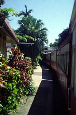 Kuranda, Queesnland, Australia, Jacek Piwowarczyk, 1993