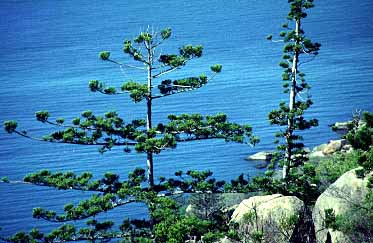 Magnetic Island, Queensland, Australia, Jacek Piwowarczyk, 1993