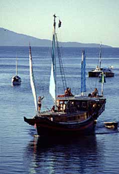 Port Douglas, Queensland, Australia, Jacek Piwowarczyk, 1993