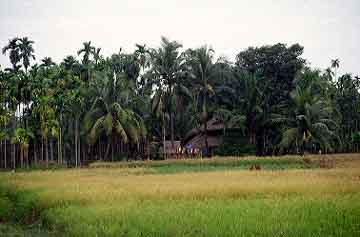 Ramu, Bangladesh, Jacek Piwowarczyk, 1996