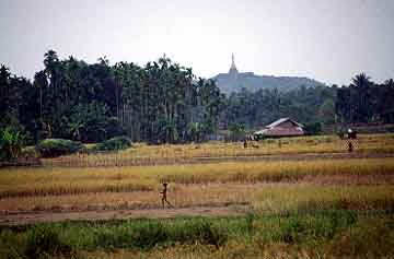 Ramu, Bangladesh, Jacek Piwowarczyk, 1996