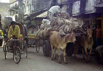Dhaka, Bangladesh, Jacek Piwowarczyk, 1996