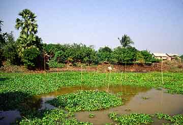 Sonargaon, Bengladesh, Jacek Piwowarczyk 1996