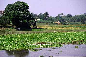 Sonargaon, Bengladesh, Jacek Piwowarczyk 1996