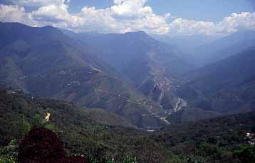 Coroiko, Yungas, Bolivia, Jacek Piwowarczyk, 1998