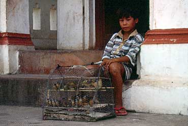 Phnom Penh, Cambodia, Jacek Piwowarczyk, 1992