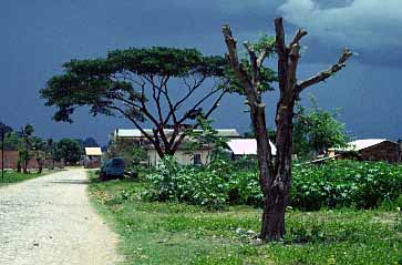 Kampong Trach, Kampot Province, Cambodia, Jacek Piwowarczyk, 1993