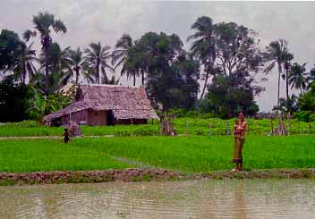 Kampong Trach, Kampot Province, Cambodia, Jacek Piwowarczyk, 1993