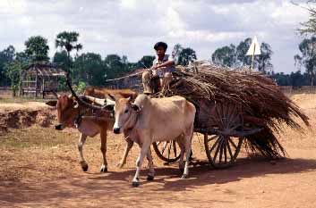 Kampong Trach, Kampot Province, Cambodia, Jacek Piwowarczyk, 2000