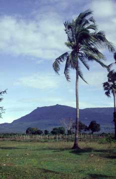 ampot, Cambodia, Jacek Piwowarczyk, 2000