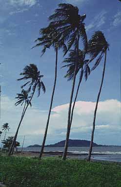 Kep, Kampot Province, Cambodia, Jacek Piwowarczyk, 1993