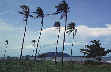 Kep, Kampot Province, Cambodia, Jacek Piwowarczyk, 1993