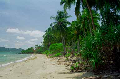 Kep, Kampot Province, Cambodia, Jacek Piwowarczyk, 1993