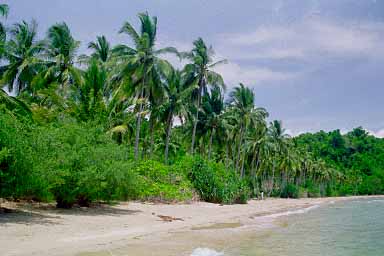 Kep, Kampot Province, Cambodia, Jacek Piwowarczyk, 1993