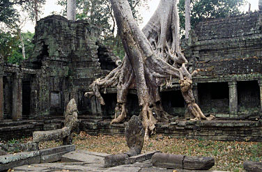 Preah Khan, Cambodia, Jacek Piwowarczyk, 2000