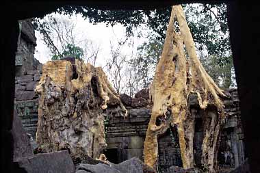 Preah Khan, Cambodia, Jacek Piwowarczyk, 2000