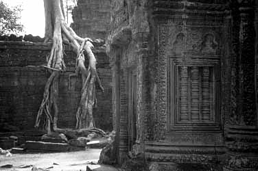 Ta Phrom, Cambodia, Jacek Piwowarczyk, 2000