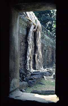 Ta Phrom, Cambodia, JAcek Piwowarczyk, 2000