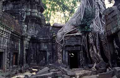 Ta Phrom, Cambodia, JAcek Piwowarczyk, 2000