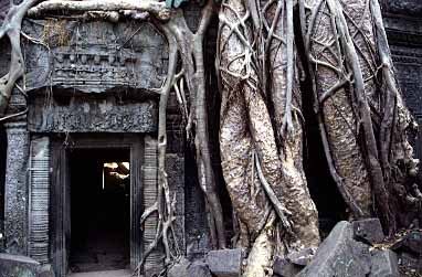 Ta Phrom, Cambodia, JAcek Piwowarczyk, 2000