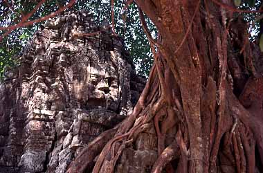 Ta Som, Cambodia, Jacek Piwowarczyk, 2000