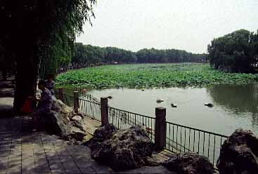 Beihai Park, Beijing, China, Jacek Piwowarczyk, 1994-1997