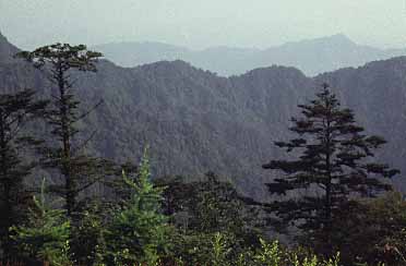 Emei Shan, Sichuan, Jacek Piwowarczyk